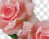 animated pink roses