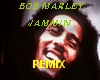 B.MARLEY.jammin remix