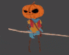 Avi  Angry lil pumpkin
