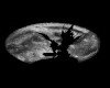 horror background