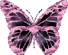 pink butterly