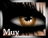 Muy| Hazel Eyes