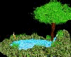 PoND WiTH TRee