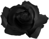 Dj Light Black Rose