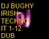 IRISH TECHNO DUB