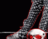 LV! Jean ll