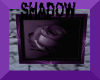 Shadow's Purple Rose