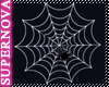 [Nova] B.Spider Web 