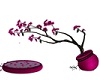 pink n blk tree plant