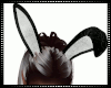 Fluffy Bunny Ears