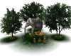FOREST Elephant