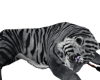 ☢ Tiger Brush Grey