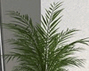 Modern Plants Set V2