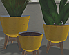Retro Plants