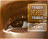 Tribbin Lash Extensions