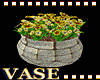 Big Pot of Primroses