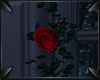 !P Red Rose Vine 1