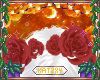 ꨄSparta Roses 5ꨄ