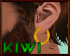 Pirate earrings