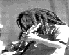 Bob Marley Animated