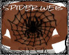 Spider Web Back Tattoo