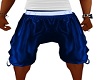 Blue Jordan Shorts