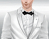Suit Wedding Full
