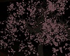 (X) OS  Sakura tree