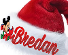 Bredan christmas hat