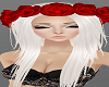 H/Ashla White/Red Roses