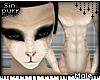 S; Ciio Fur M v2