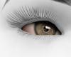 Hazel Eyes