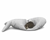 Fish Pillow & Cat