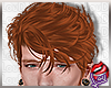 [LD]HillcGinger