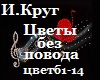 Krug_Tsvety bez povoda_
