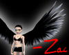 Black Tipped Angel Wings