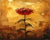 Poppy 1
