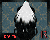 𝓡𓄿 Haru Tiger