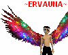 Rainbow Light Wings