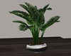 ~SL~ BM Tall Plant