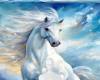 White horse background