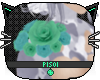 P; Dash Rose Shoulder R