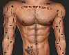 Perfect tt muscle body1