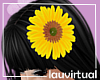 Hair Sunflower