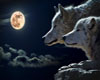 ! wolves under moon !