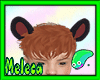 KIDS Friends Bear (Masc)