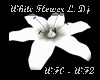 White Flower L. Dj