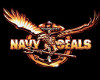 Navy Seals2