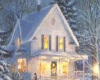 winter home 100x50
