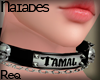 N| Spiked Collar